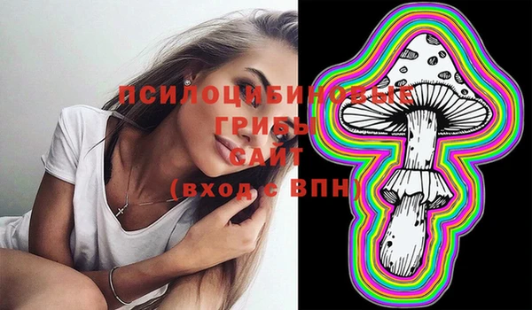 бутират Новодвинск
